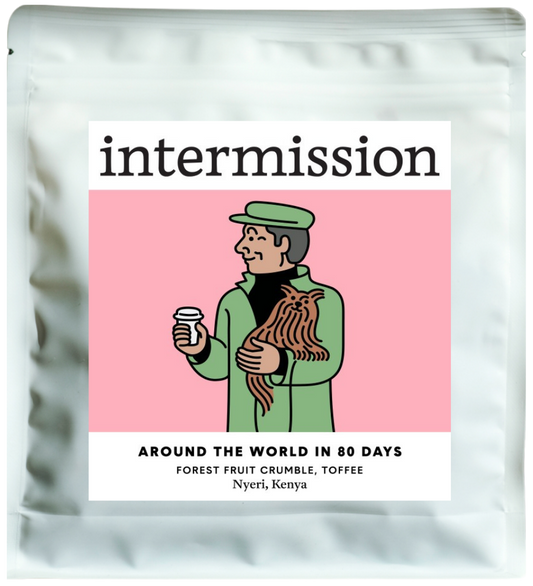AROUND THE WORLD IN 80 DAYS, Washed, Kenya – Filter