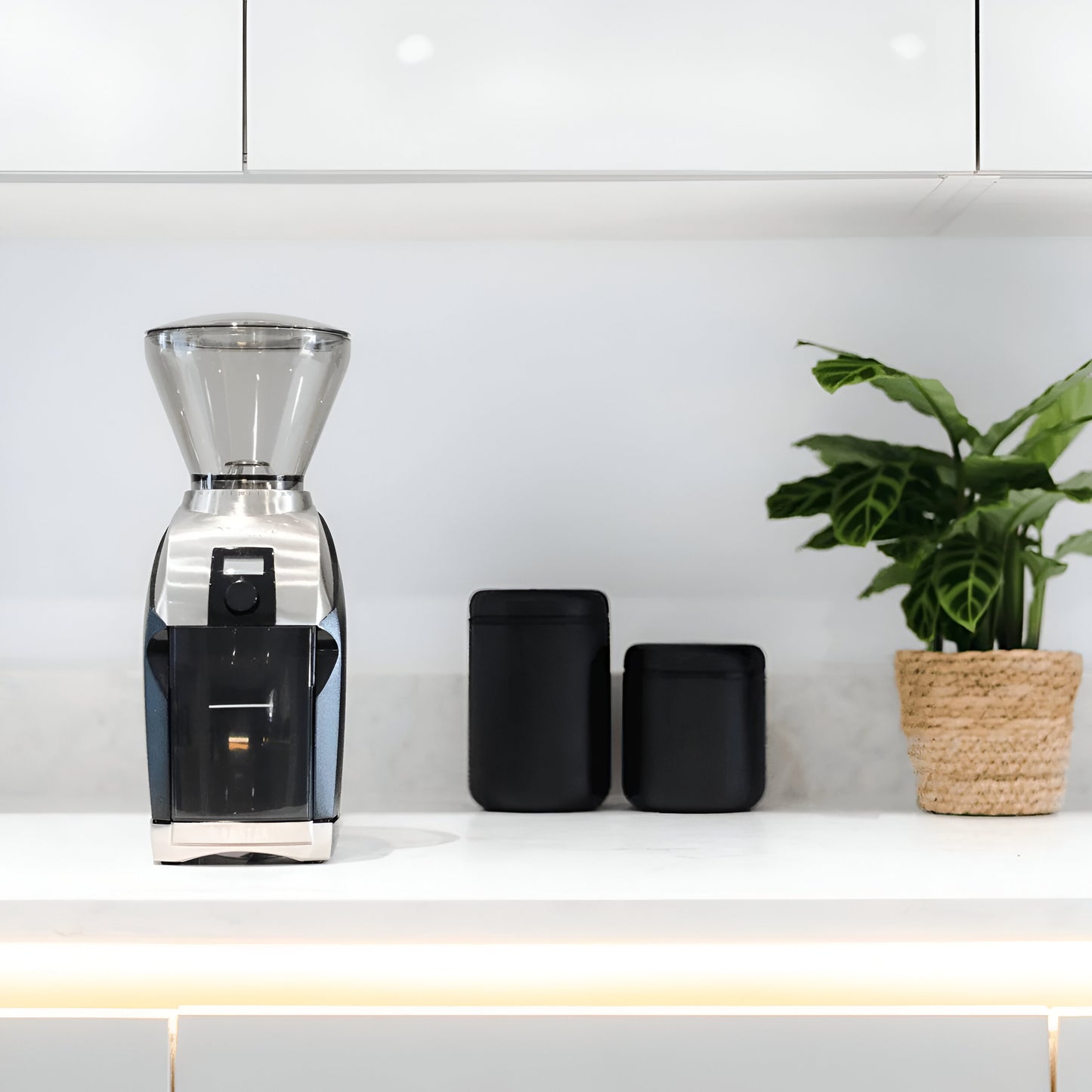 Baratza Virtuoso + Coffee Grinder