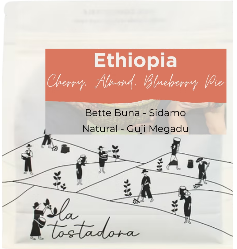 Ethiopia - Bette Buna / Natural Wild Guji