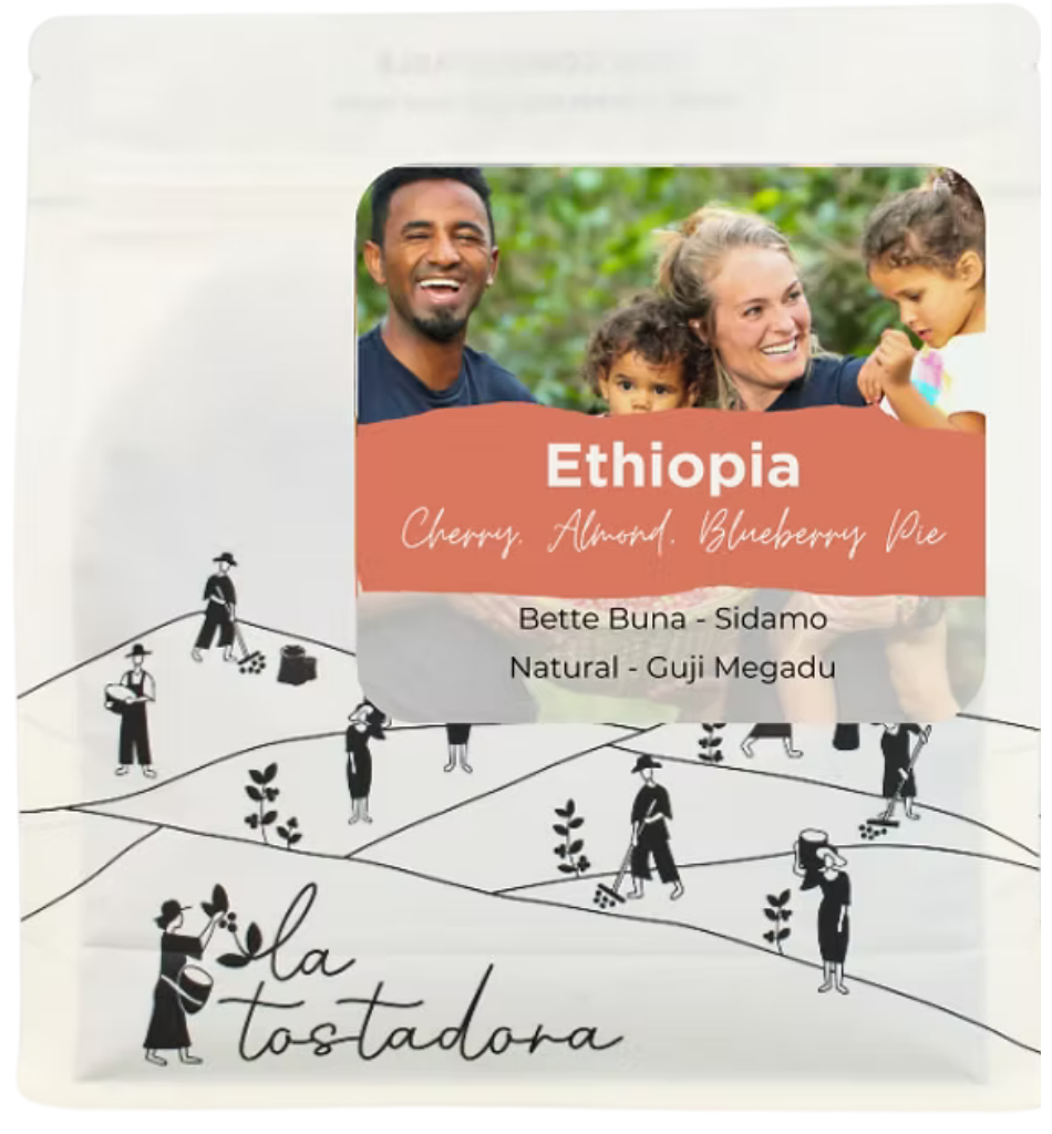 Ethiopia - Bette Buna / Natural Wild Guji