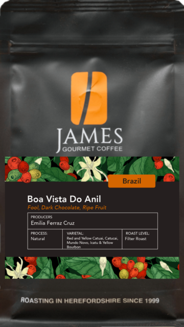 Brazilian Boa Vista Do Anil Filter Roast