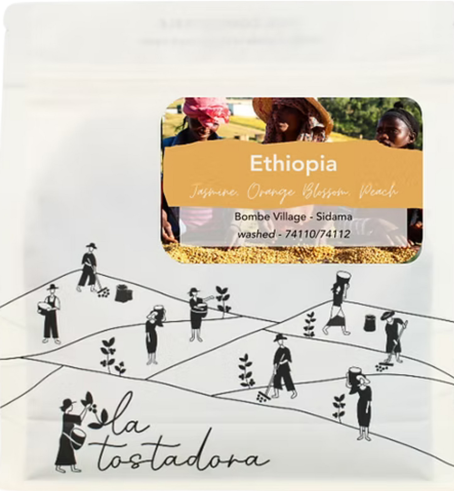 Ethiopia, Bombe Village - Sidama