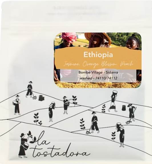 Ethiopia, Bombe Village - Sidama