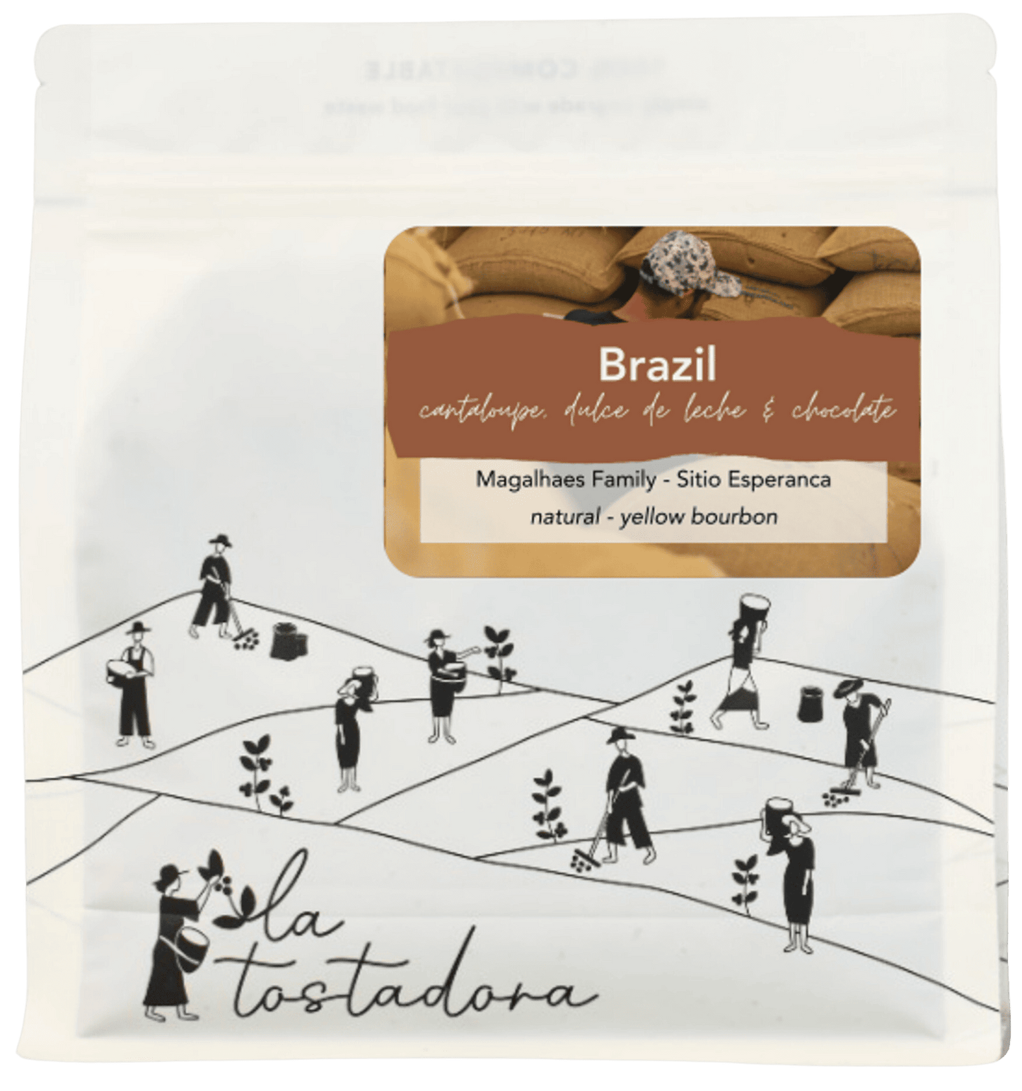 Brazil - Magalhaes Family / Natural Yellow Bourbon