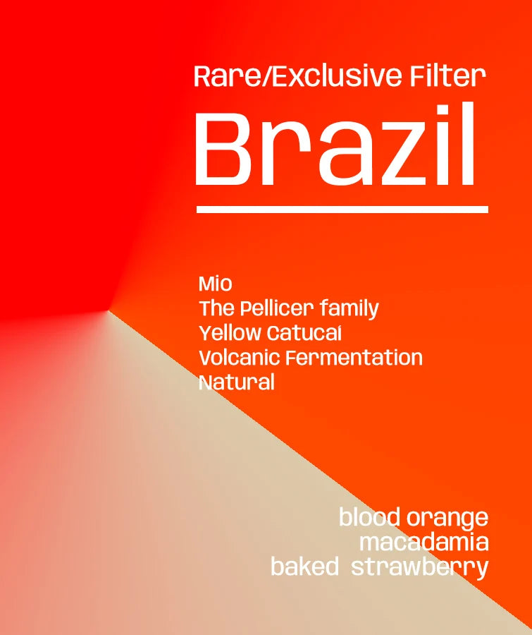 Brazil Fazenda Mio ACIME - Rare/Exclusive Filter