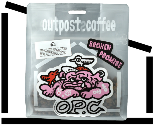 BROKEN PROMISE 001 / 72hr Anaerobic Natural / Uganda
