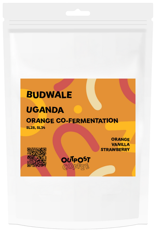 Budwale, Orange Co-Fermentation, Uganda - Filter