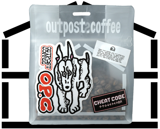 CHEAT CODE 001 / Natural / Ethiopia - Espresso