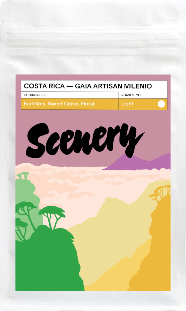 Costa Rica - Gaia Artisan Milenio