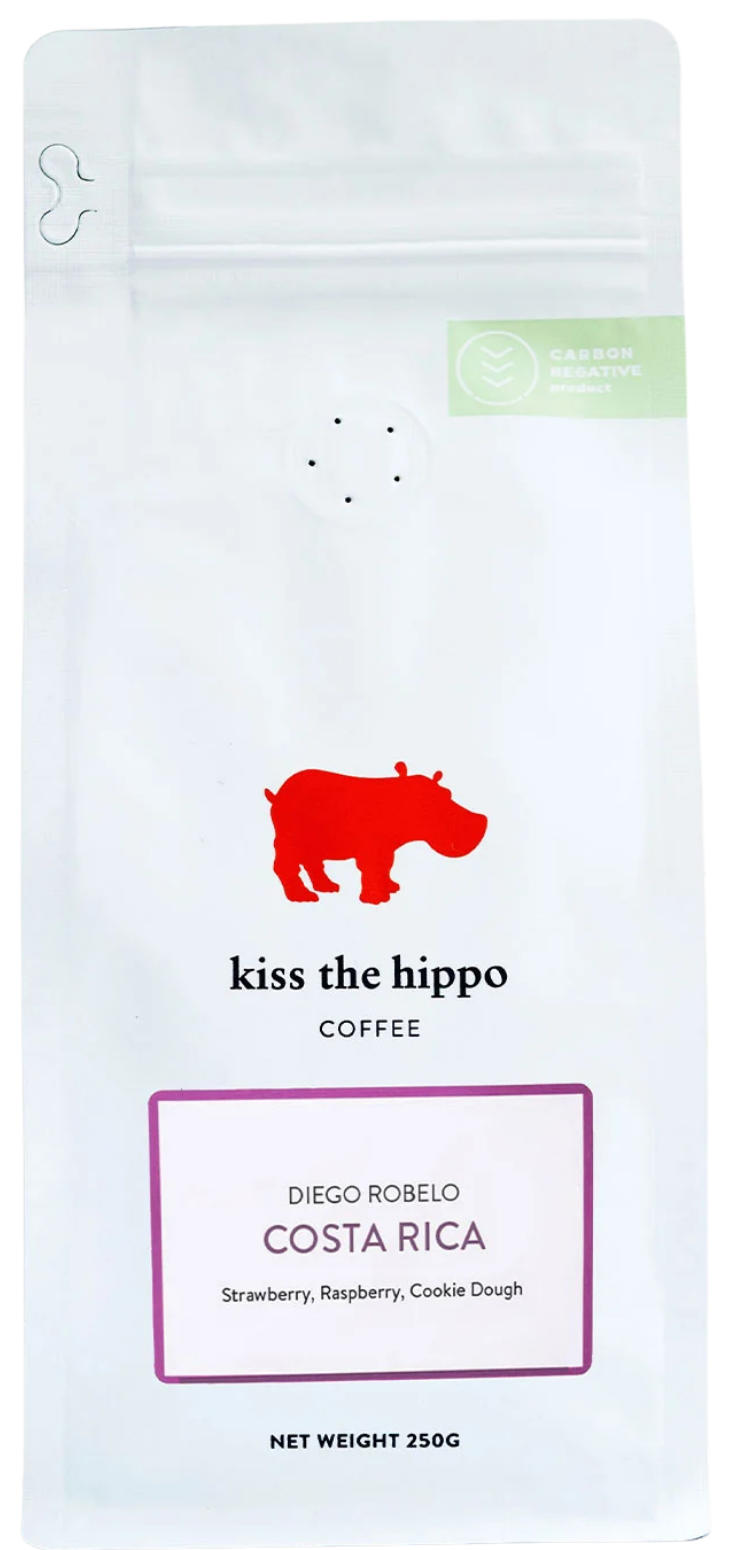 Costa Rica, Diego Robelo