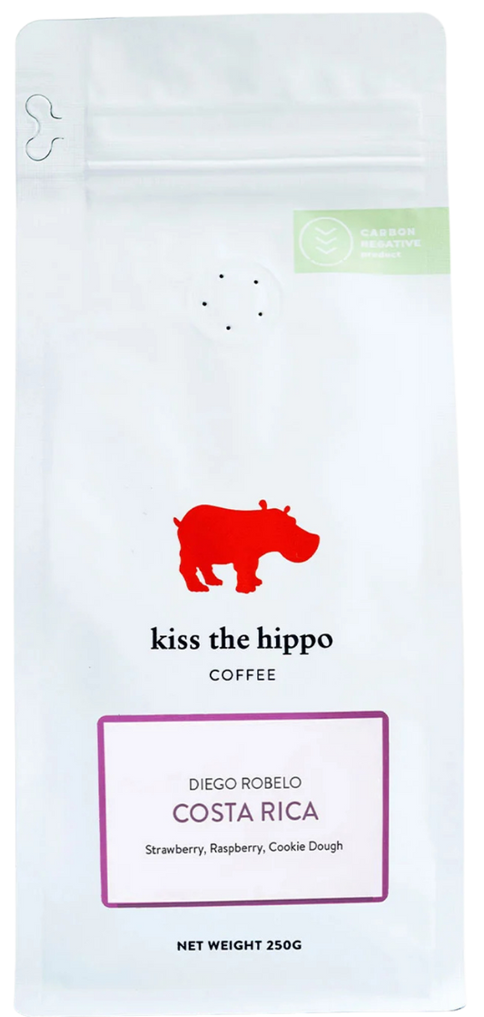 Costa Rica, Diego Robelo