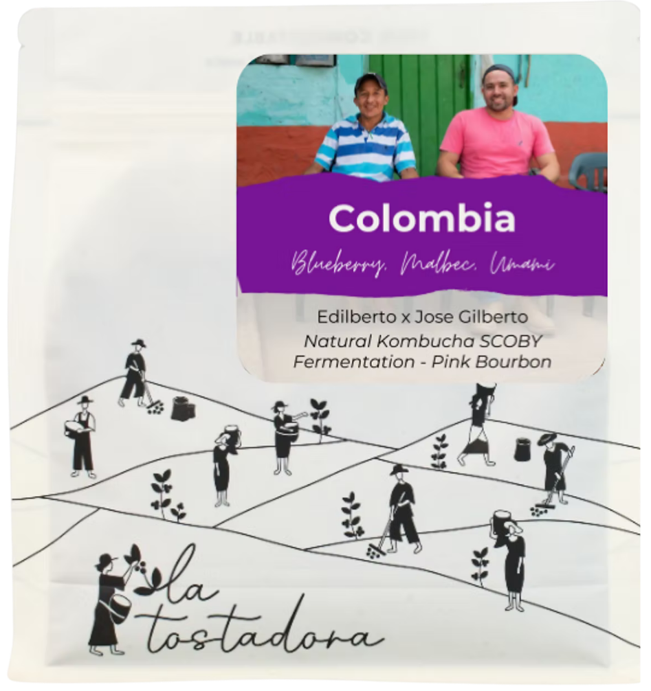 Colombia - El Diamante / Natural Kombucha SCOBY Fermentation