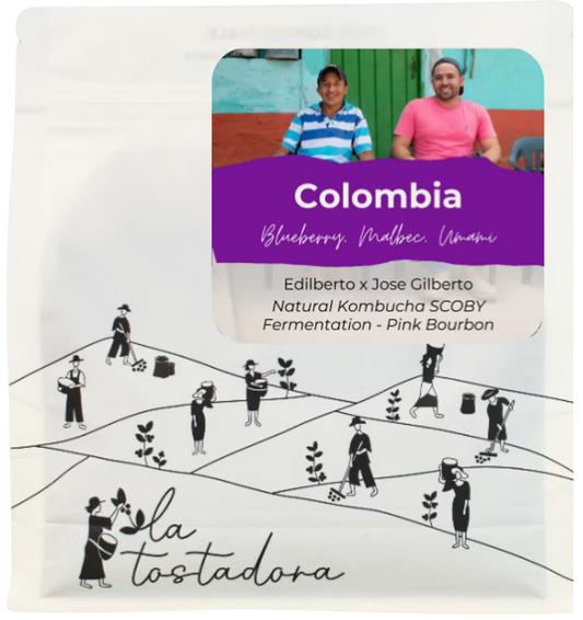Colombia - El Diamante / Natural Kombucha SCOBY Fermentation
