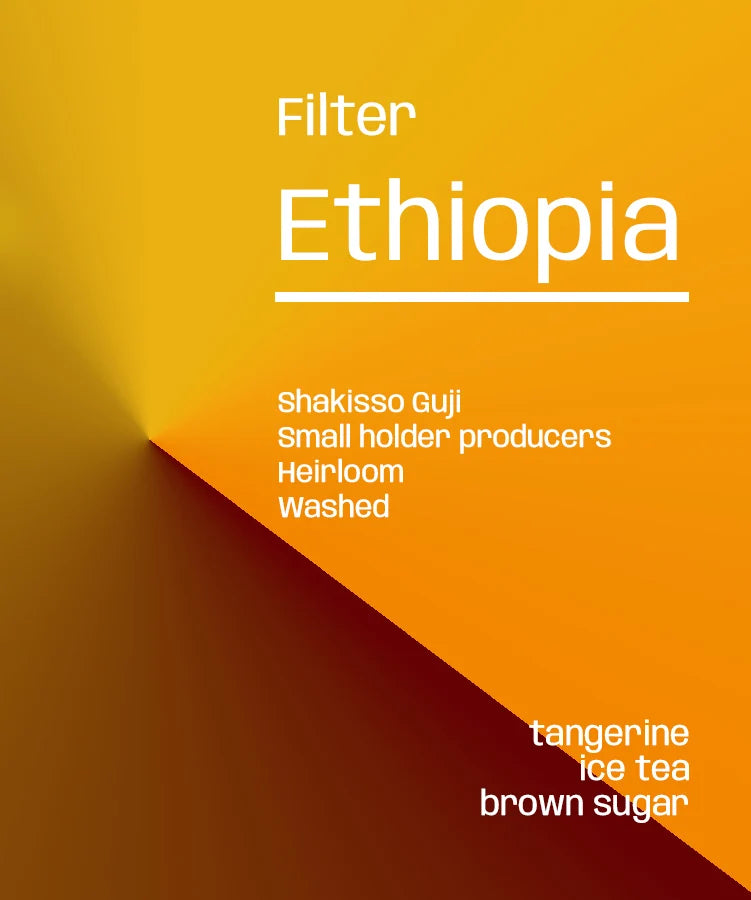 Ethiopia Shakisso Guji Washed - Filter