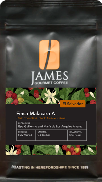 El Salvador Finca Malacara “A” Filter