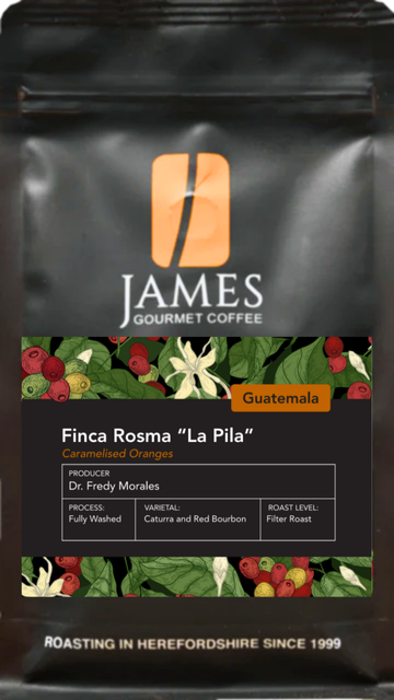 Guatemala Finca Rosma Filter