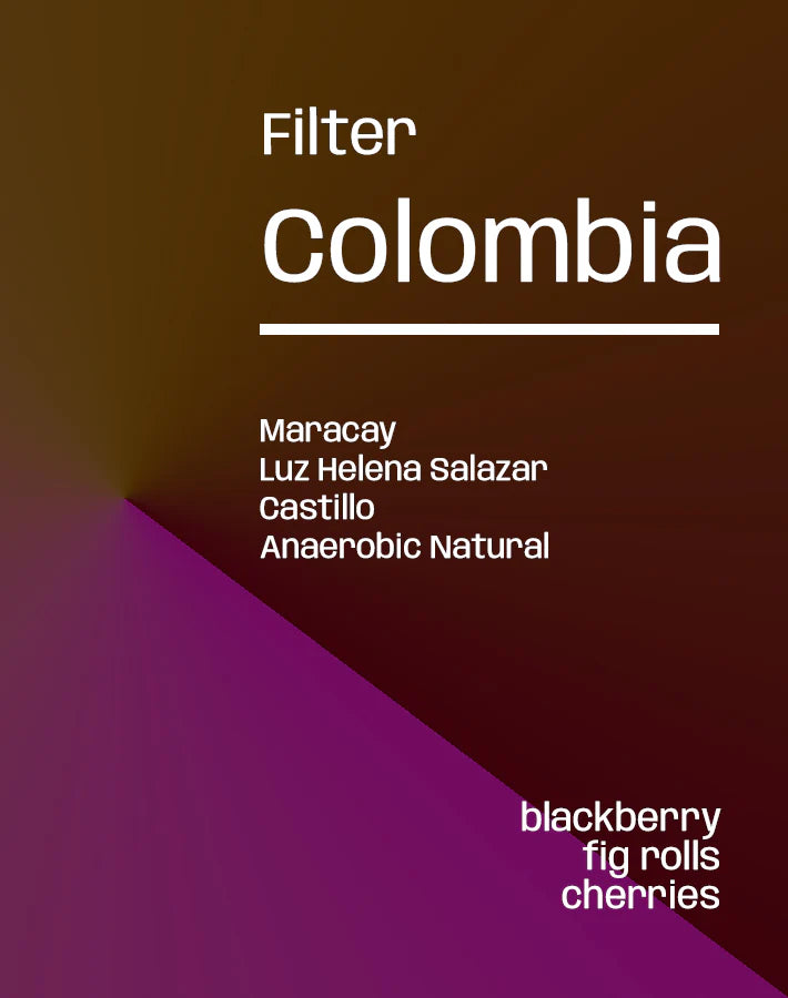 Colombia Maracay Natural - Filter