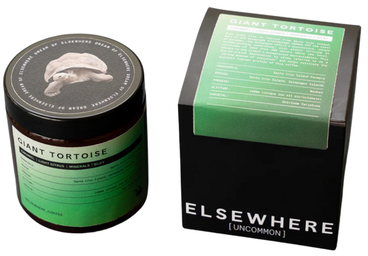 Giant Tortoise - Uncommon Series