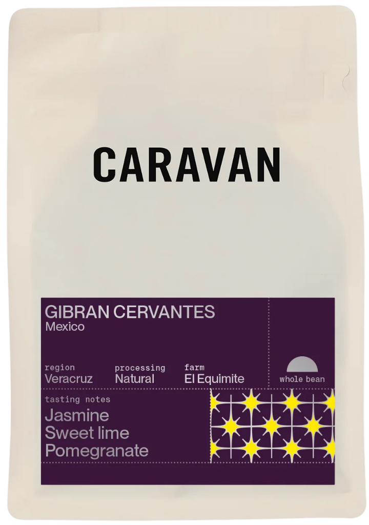Gibrán Cervantes