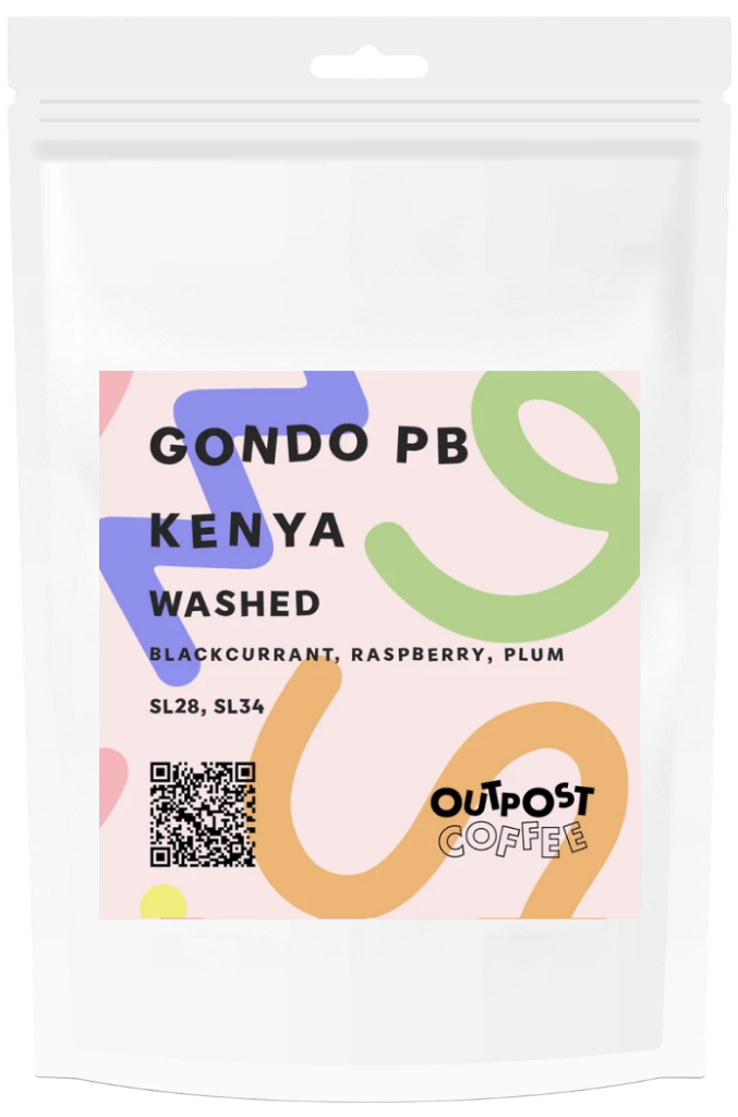 Gondo PB, Washed, Kenya
