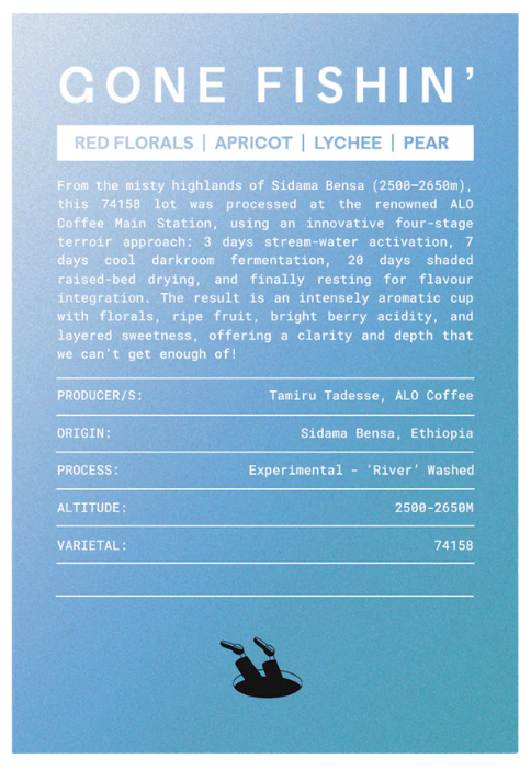 Gone Fishin' - Killbean x ELSEWHERE