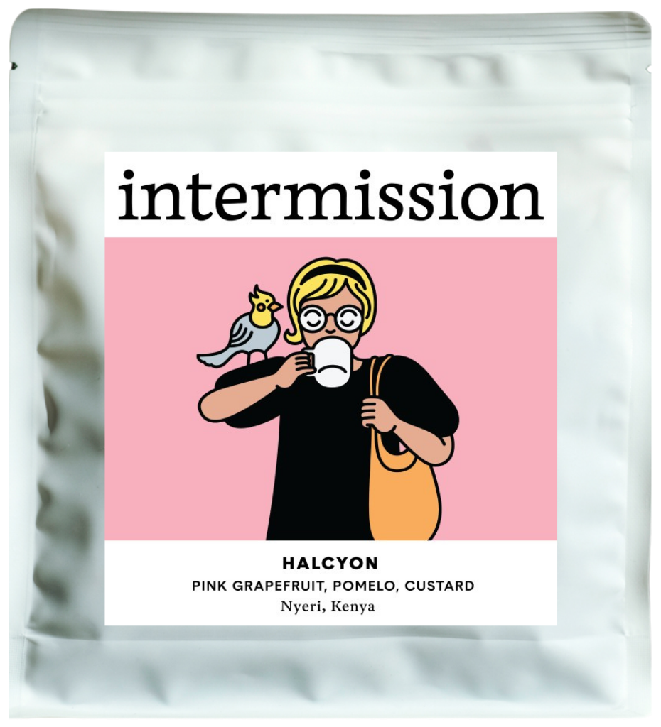 HALCYON, Washed, Kenya