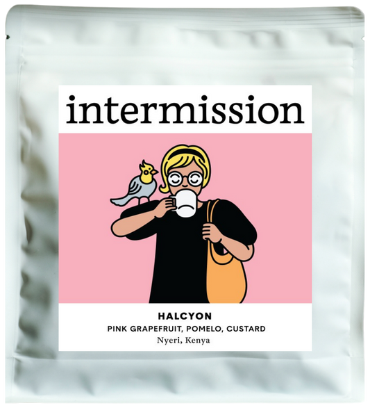 HALCYON, Washed, Kenya