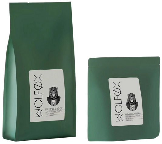 Hamasho Bensa, Ethiopia