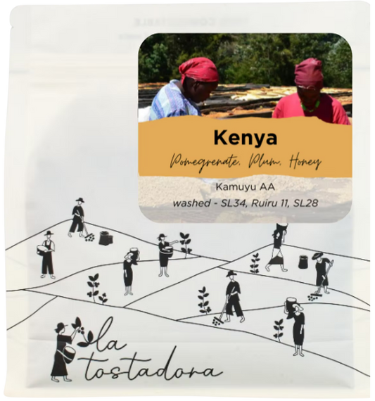Kenya - Kamuyu Farmers / Washed