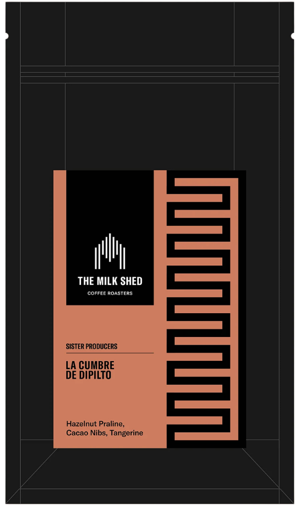 La Cumbre de Dipilto - Nicaragua, Washed