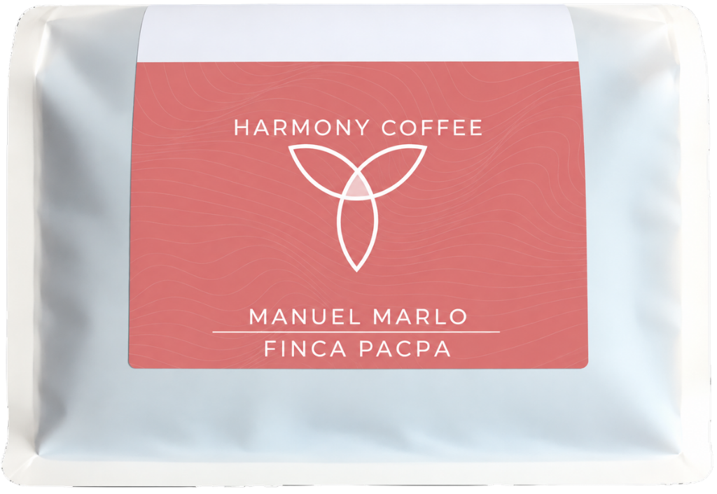 Manuel Marlo Gesha