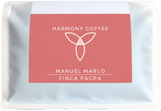 Manuel Marlo Gesha