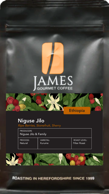 Ethiopian Niguse Jilo