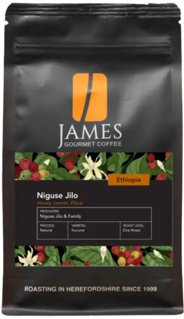 Ethiopian Niguse Jilo