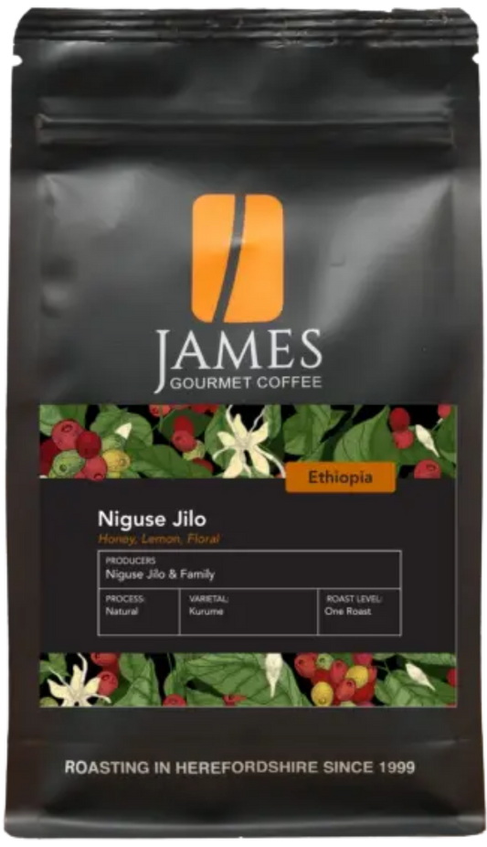 Ethiopian Niguse Jilo