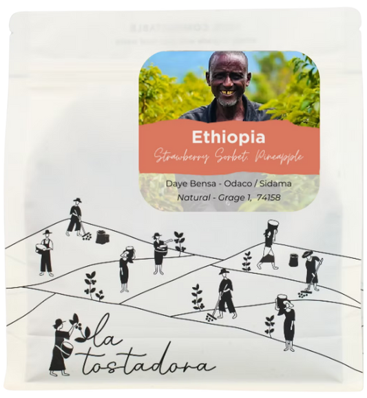 Ethiopia - 'Odaco' Daye Bensa / Natural Grade 1