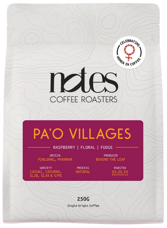 Pa'O Villages | Myanmar