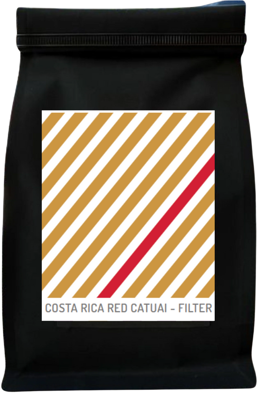 Costa Rica Red Catuai - Filter