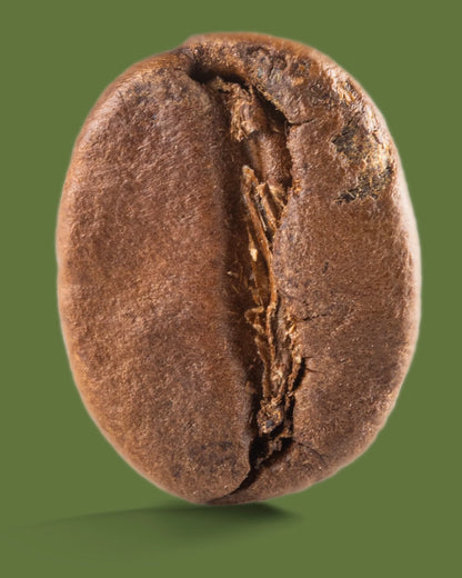 Rwanda Sholi Kundwa