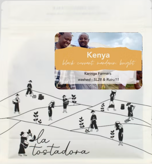 Kenya - Karinga Farmers / Washed SL28 & Ruiu11