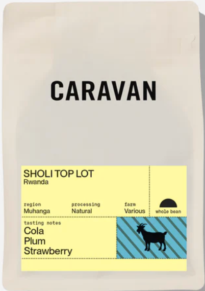 Sholi Top Lot