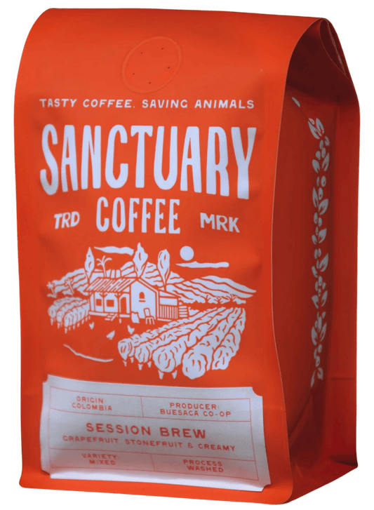 Session Brew, Colombia