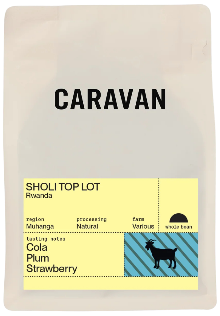 Sholi Top Lot