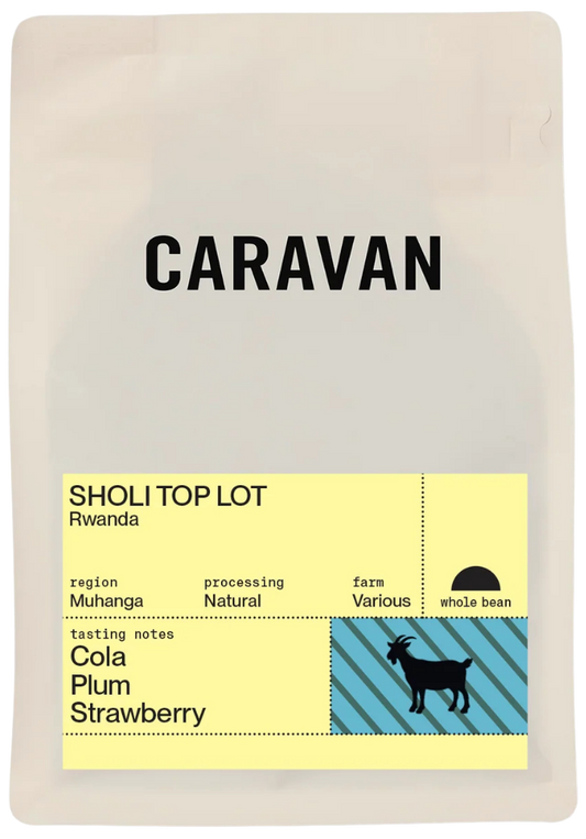 Sholi Top Lot