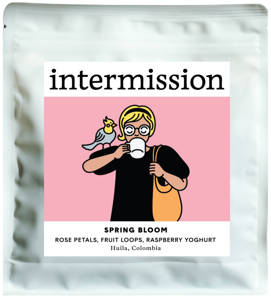 SPRING BLOOM, Advanced Natural Geisha, Colombia