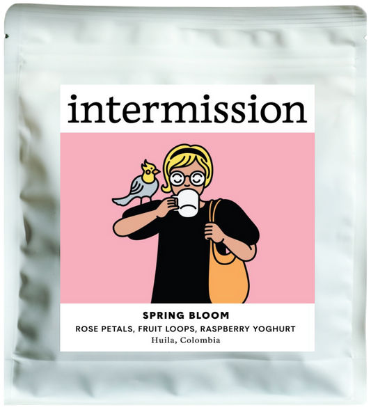 SPRING BLOOM, Advanced Natural Geisha, Colombia