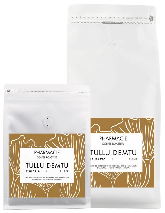 Tullu Demtu, Ethiopia - Filter