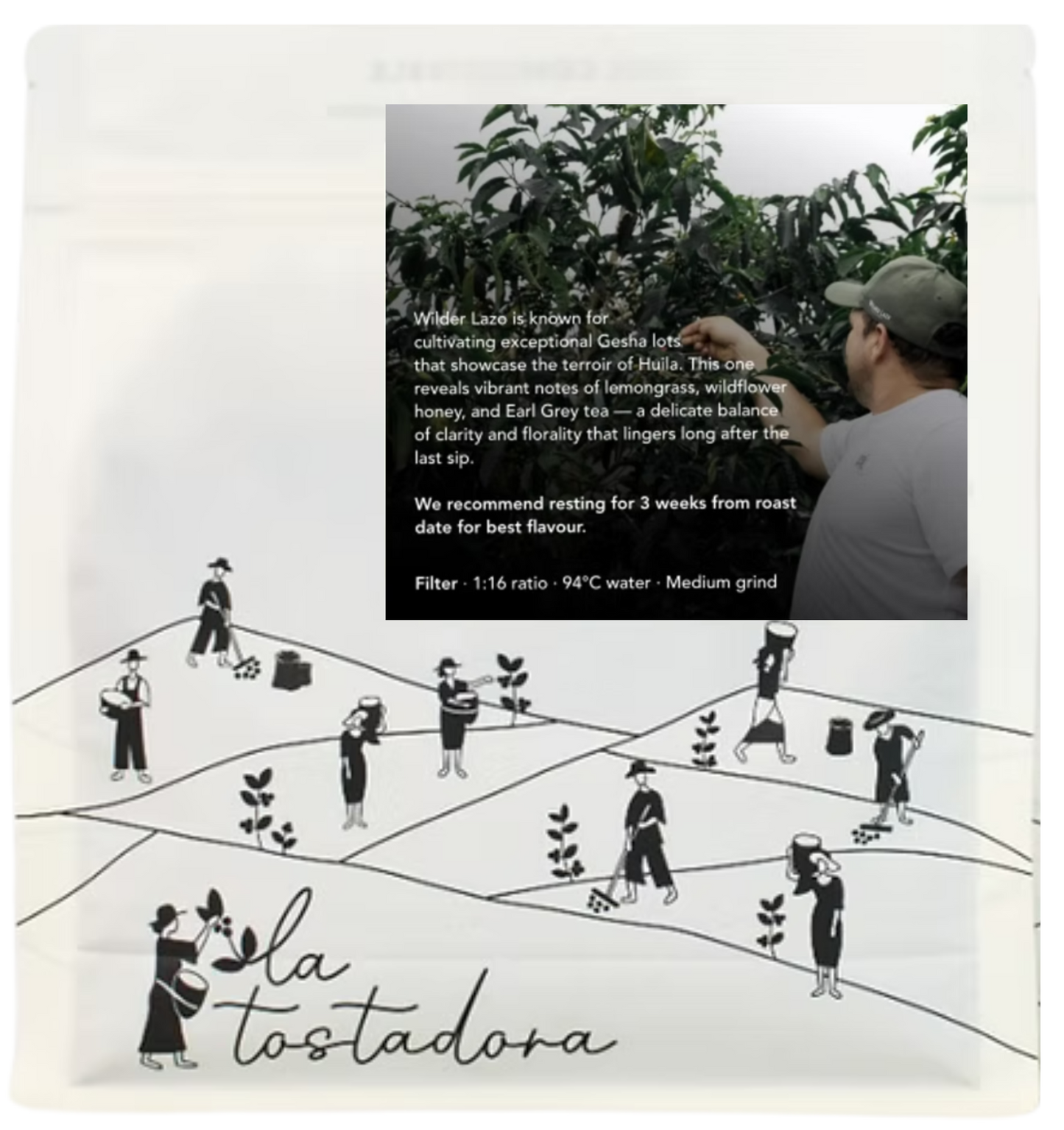 Colombia - Wilder Lazo / GESHA