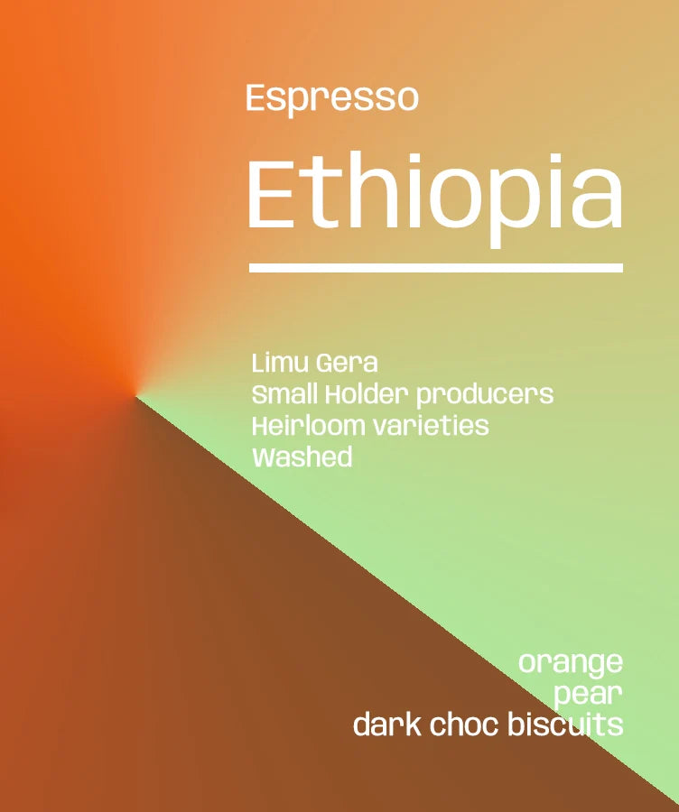 Ethiopia Limmu Washed - Espresso