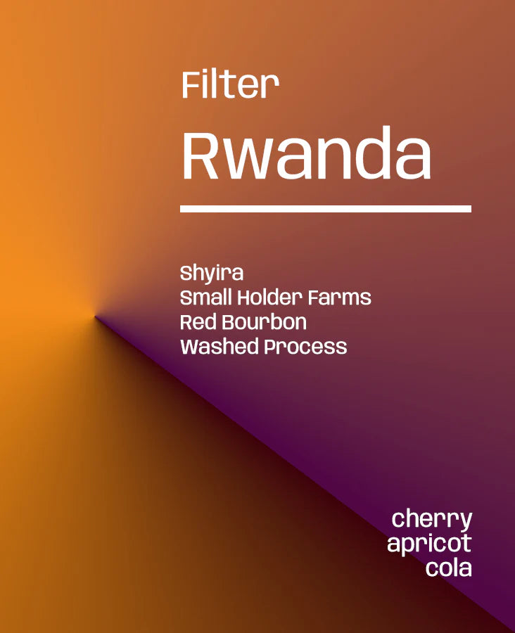 Rwanda Shyira Washed - Filter